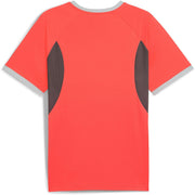 Puma Individualliga Jersey T-Shirt – zdjęcie 2