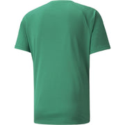 Puma Teamliga Striped Jersey T-Shirt – zdjęcie 2
