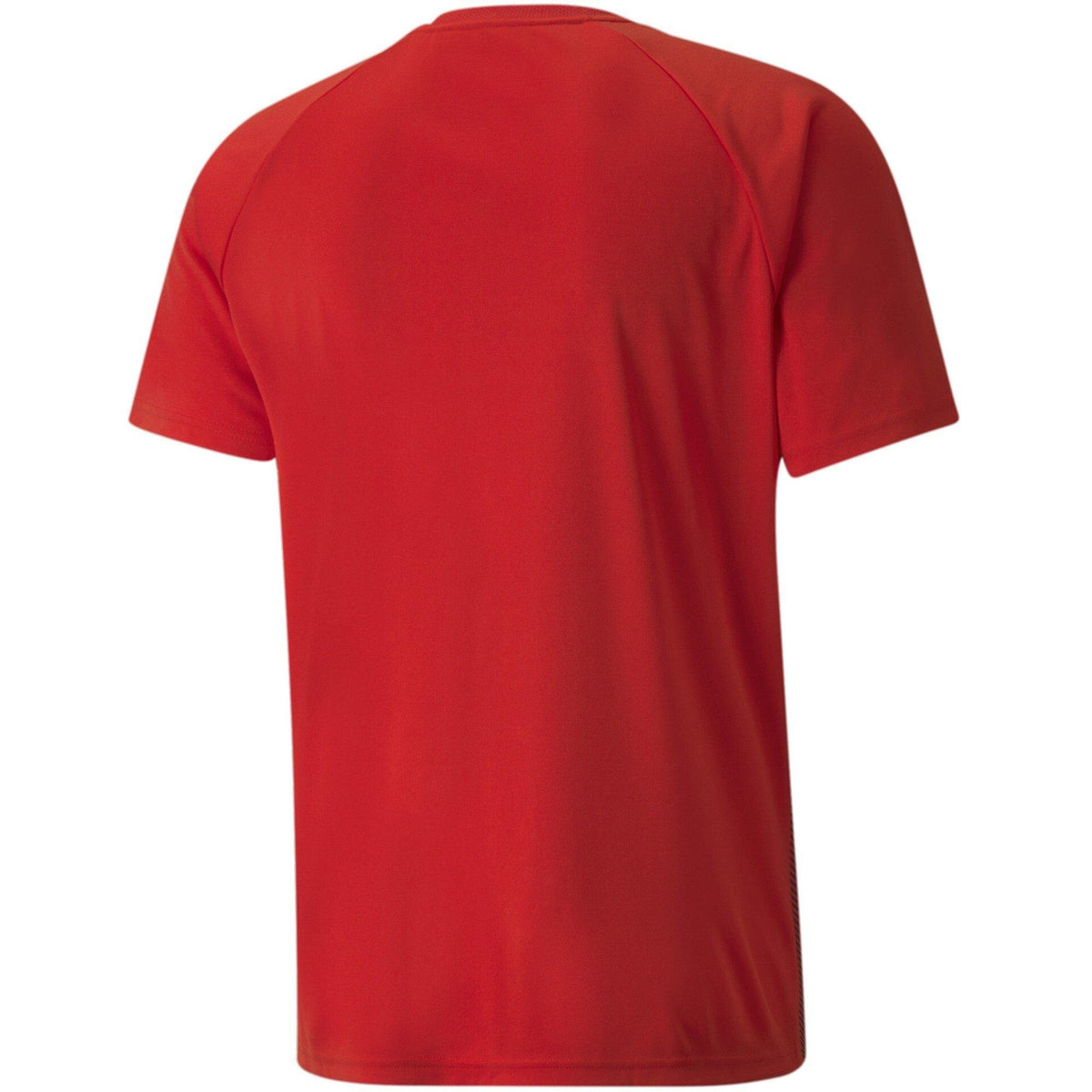 Puma Teamliga Striped Jersey T-Shirt – zdjęcie 2