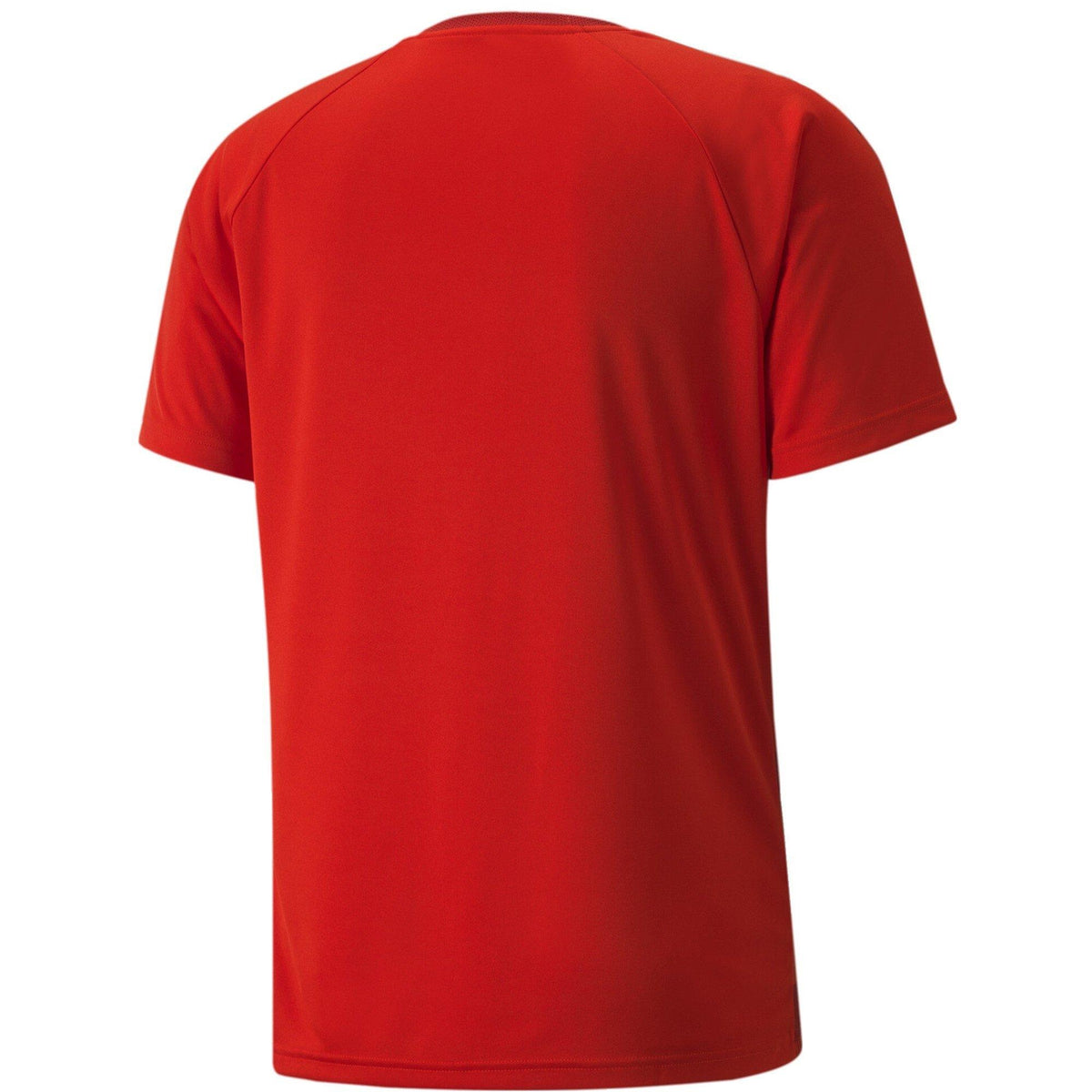 Puma Teamvision Jersey T-Shirt – zdjęcie 2